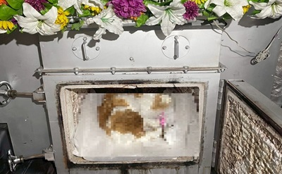 滋賀県栗東市でご飯が大好きだった愛猫ちゃんを穏やかにお見送りいたしました